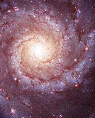 Theosophical Society - Universal Laws.  Cosmos.  What is the purpose of Life?&nbsp;What happens when we die? Do we come back? The Theosophical teachings postulate the Human Soul is a pilgrim in a plan of Spiritual Evolution. This journey is accomplished through a cycle of Reincarnation, and regulated universal laws as that of Karma, Dharma, the Law of Periodicity, etc.