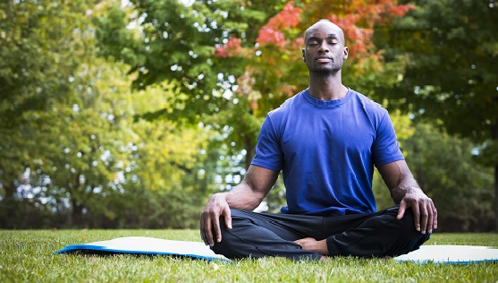 Theosophical Society - Meditation.  A wealth of teachings about meditation can be found in Theosophical literature.  In this section, we offer some of the suggestions recommended.