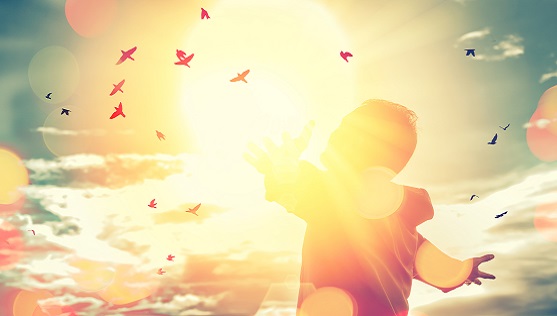 Theosophical Society - Search for truth.  A great resource covering the different kinds of knowledge, faculties of perception, and attitude needed for the discovery of Truth.  A great resource for seekers.
