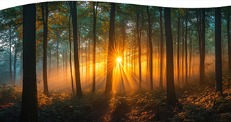 Amplifying Inner Knowing in a Noisy World: Trusting Intuition and Discernment Amid Uncertainty